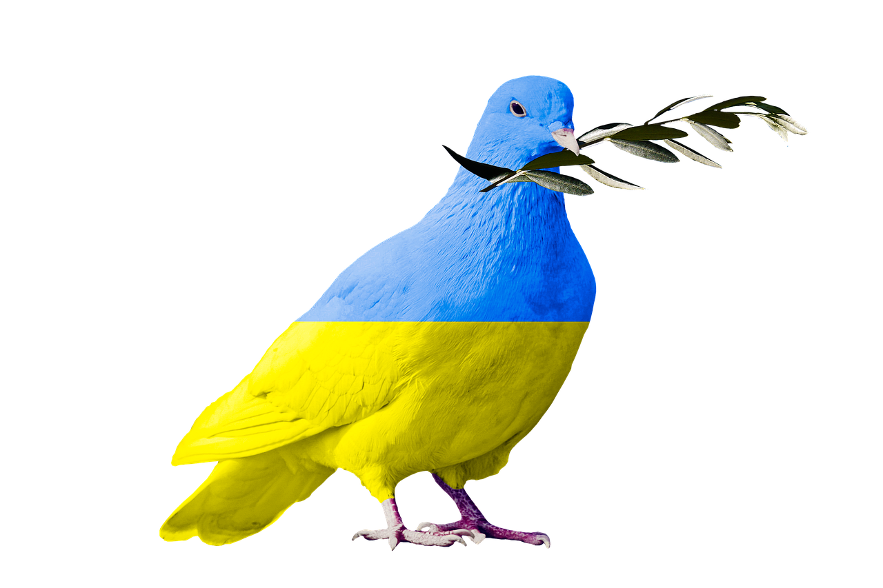 dove of peace, flag, symbol-7051688.jpg